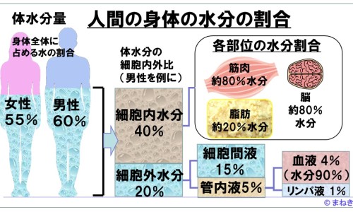 泰瑞沙价格多少钱一盒-泰瑞沙治疗什么癌症、泰瑞沙价格 -泰瑞沙治疗效果怎么样网